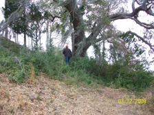 Enlarge photo 141