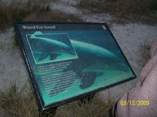 Enlarge photo 143
