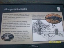 Enlarge photo 152