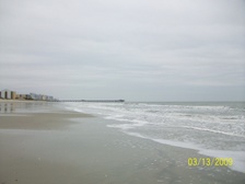 Enlarge photo 167
