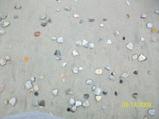 Enlarge photo 169
