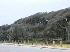 Enlarge photo 171