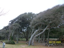 Enlarge photo 172