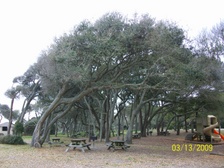 Enlarge photo 173