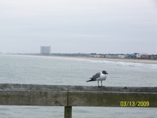 Enlarge photo 176