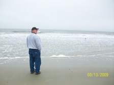 Enlarge photo 178