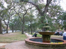 Enlarge photo 184