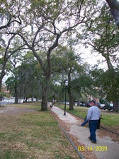 Enlarge photo 185