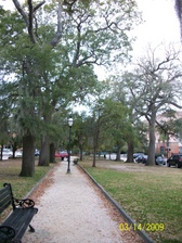 Enlarge photo 186