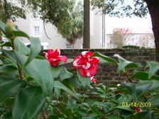 Enlarge photo 194