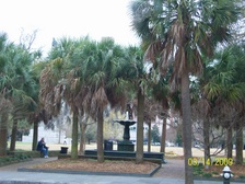 Enlarge photo 200