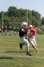 Enlarge photo 74