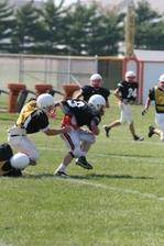Enlarge photo 90