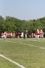 Enlarge photo 113