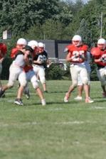 Enlarge photo 199