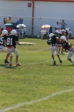 Enlarge photo 220