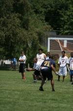 Enlarge photo 379
