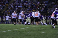 Enlarge photo 98