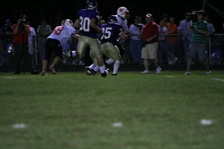 Enlarge photo 113