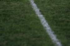 Enlarge photo 272