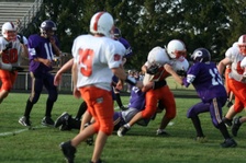 Enlarge photo 45
