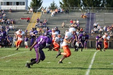 Enlarge photo 53