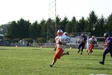 Enlarge photo 72