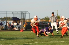 Enlarge photo 126