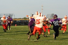 Enlarge photo 127