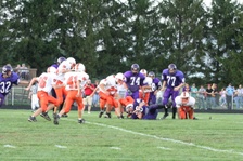 Enlarge photo 204
