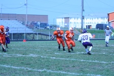 Enlarge photo 59