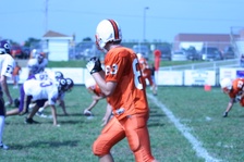 Enlarge photo 65