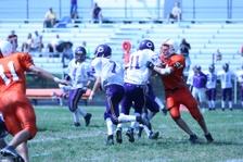 Enlarge photo 197