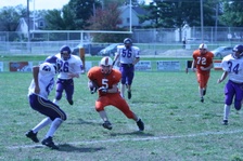 Enlarge photo 215