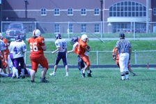 Enlarge photo 244