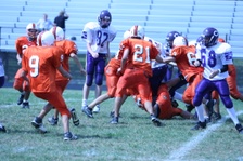 Enlarge photo 247