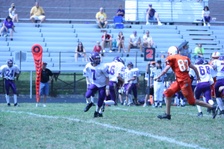 Enlarge photo 271