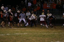 Enlarge photo 142