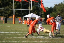 Enlarge photo 49