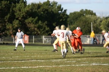 Enlarge photo 63