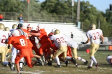Enlarge photo 75