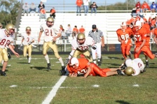 Enlarge photo 111