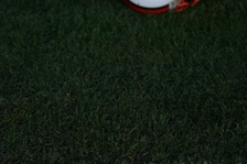Enlarge photo 122