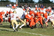 Enlarge photo 124