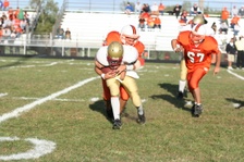 Enlarge photo 137