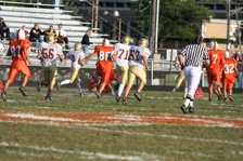 Enlarge photo 152