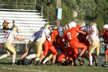 Enlarge photo 154
