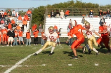 Enlarge photo 165