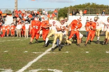 Enlarge photo 167