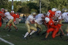 Enlarge photo 181